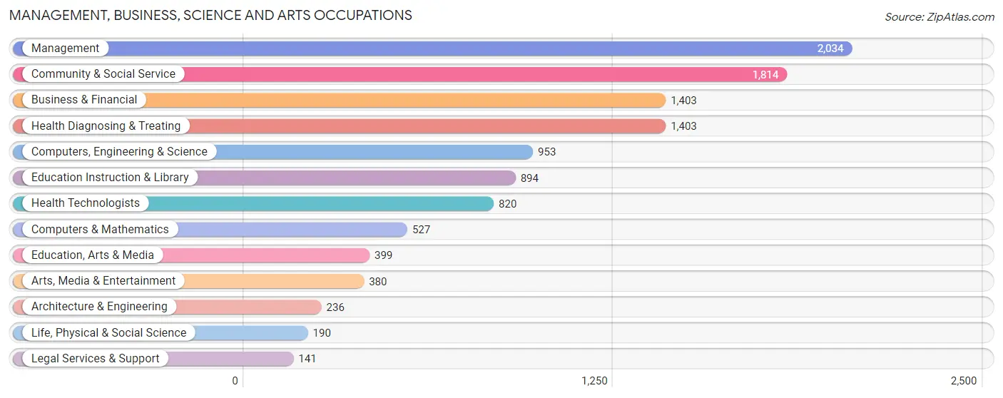 Management, Business, Science and Arts Occupations in Zip Code 04106