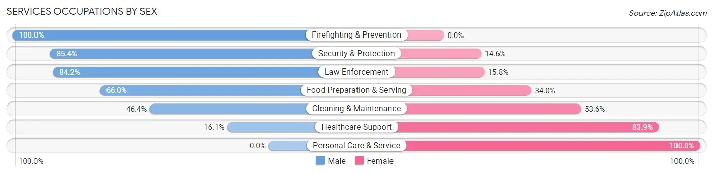 Services Occupations by Sex in Zip Code 04236