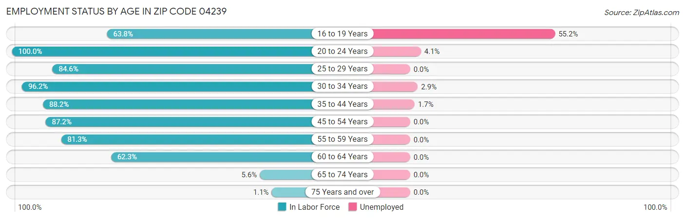 Employment Status by Age in Zip Code 04239