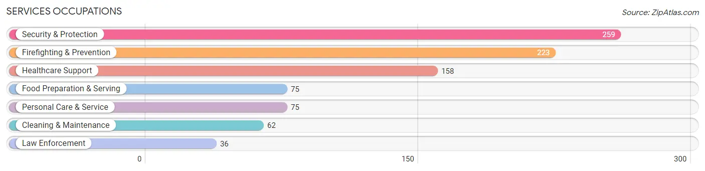 Services Occupations in Zip Code 04250