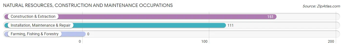 Natural Resources, Construction and Maintenance Occupations in Zip Code 04252