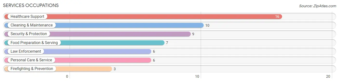 Services Occupations in Zip Code 04349