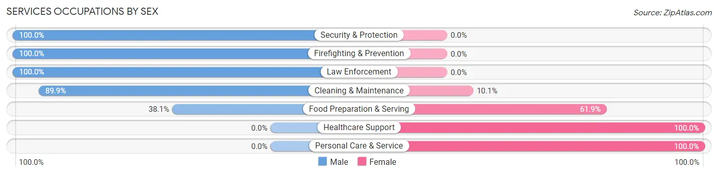 Services Occupations by Sex in Zip Code 04357
