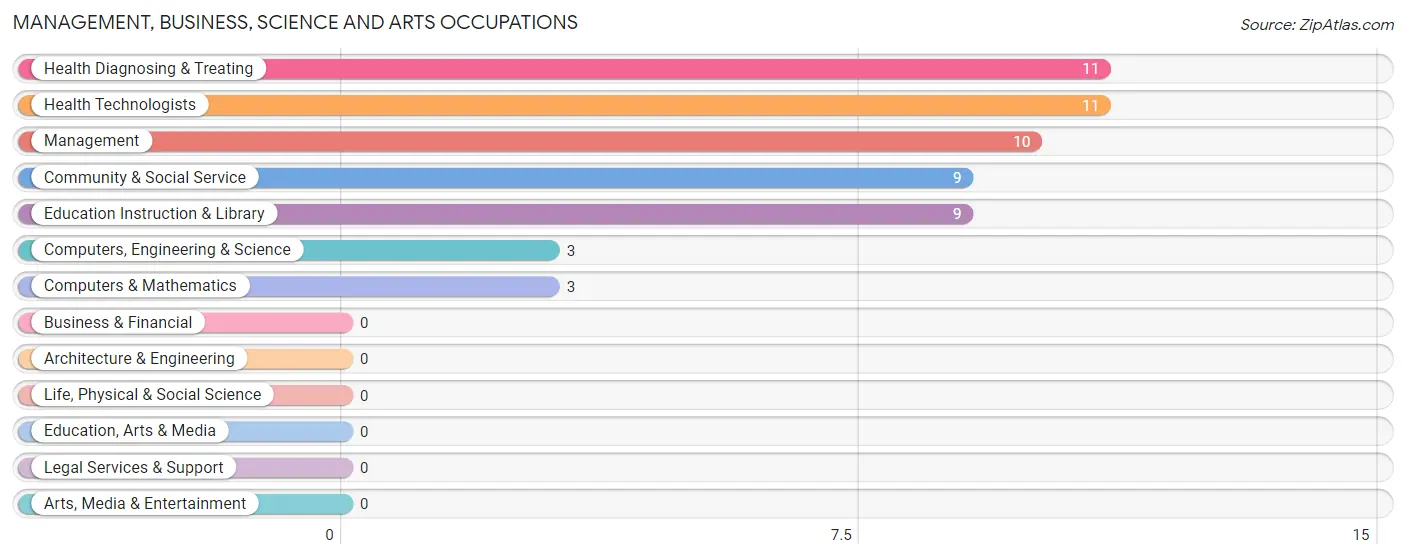 Management, Business, Science and Arts Occupations in Zip Code 04408