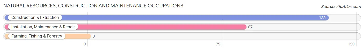 Natural Resources, Construction and Maintenance Occupations in Zip Code 04419