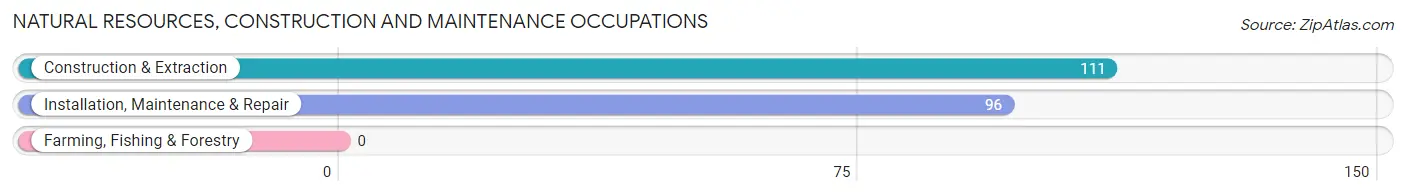 Natural Resources, Construction and Maintenance Occupations in Zip Code 04427