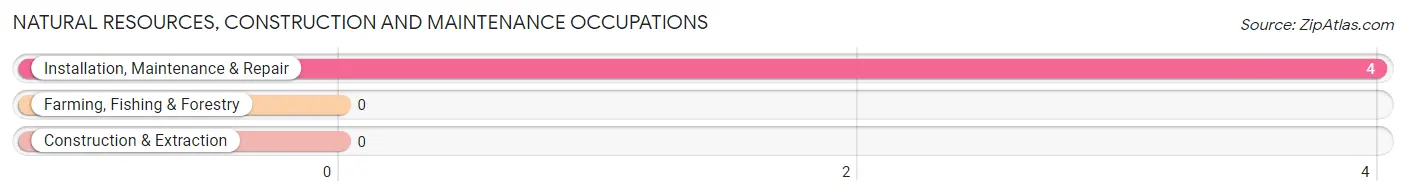 Natural Resources, Construction and Maintenance Occupations in Zip Code 04442