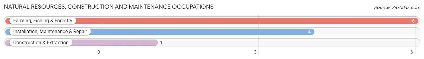 Natural Resources, Construction and Maintenance Occupations in Zip Code 04490