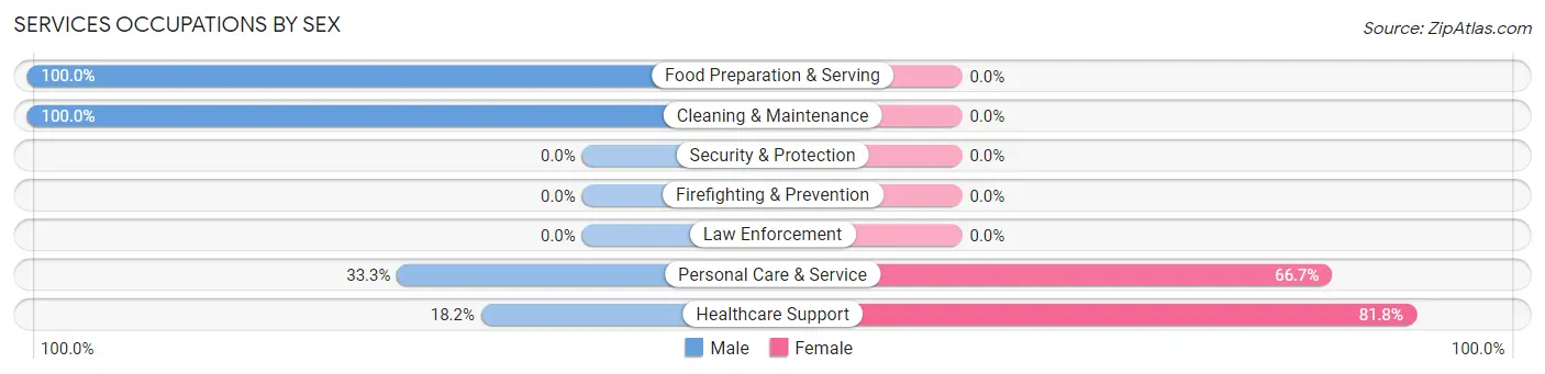 Services Occupations by Sex in Zip Code 04495