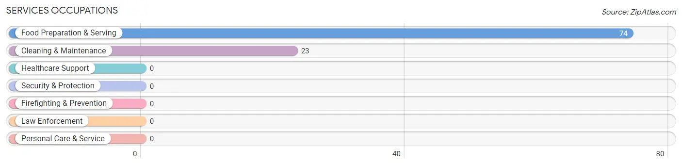 Services Occupations in Zip Code 04538