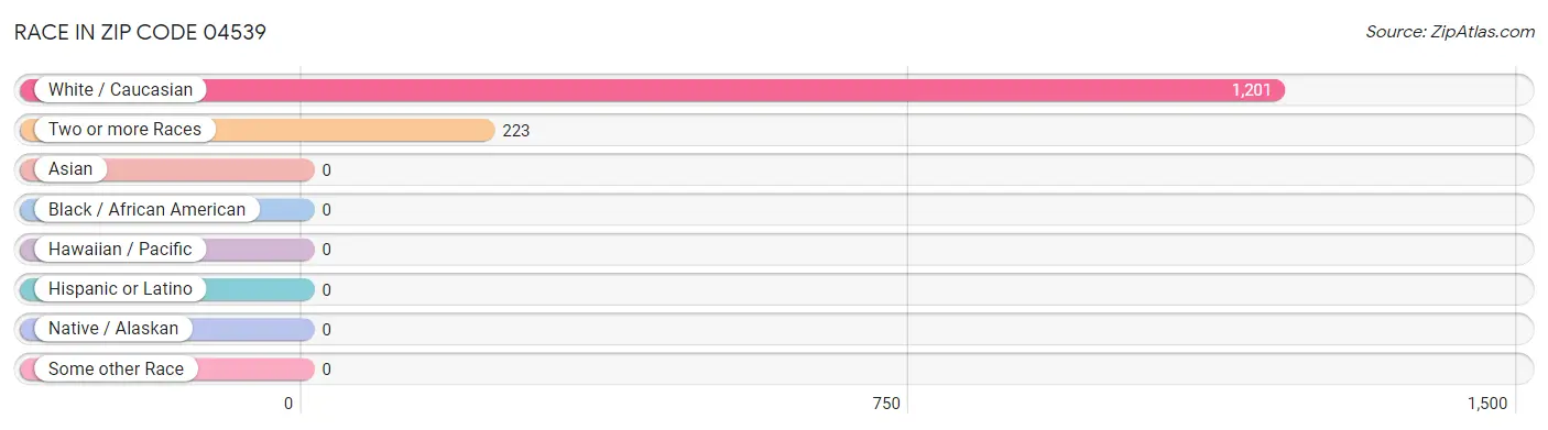 Race in Zip Code 04539