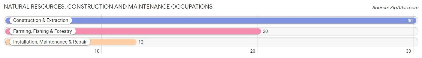 Natural Resources, Construction and Maintenance Occupations in Zip Code 04551