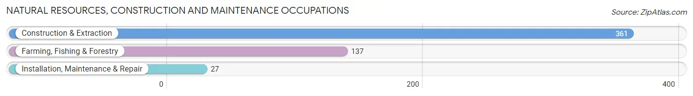 Natural Resources, Construction and Maintenance Occupations in Zip Code 04572