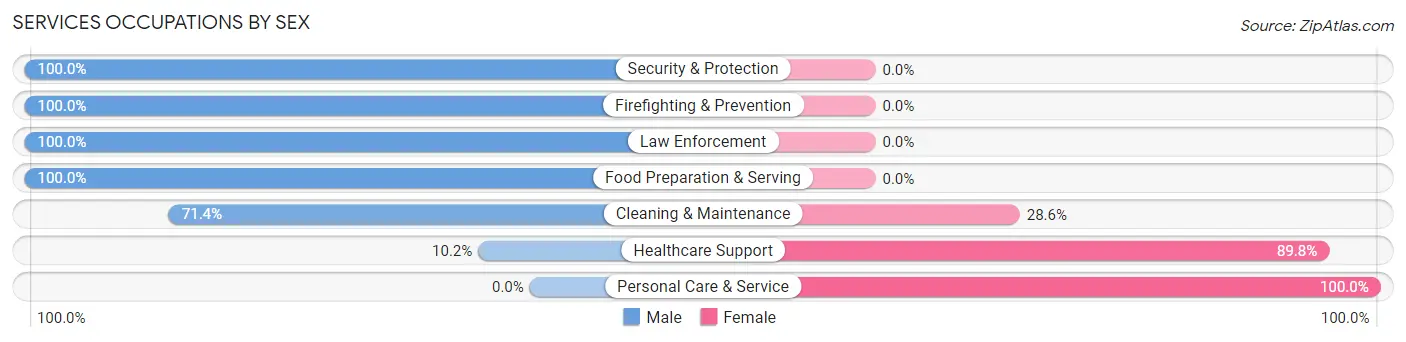 Services Occupations by Sex in Zip Code 04579