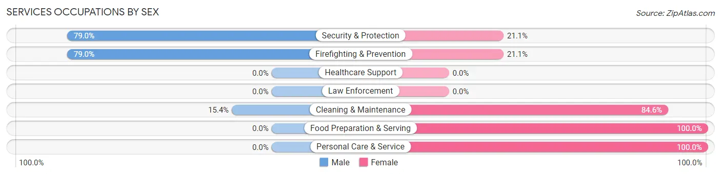 Services Occupations by Sex in Zip Code 04617