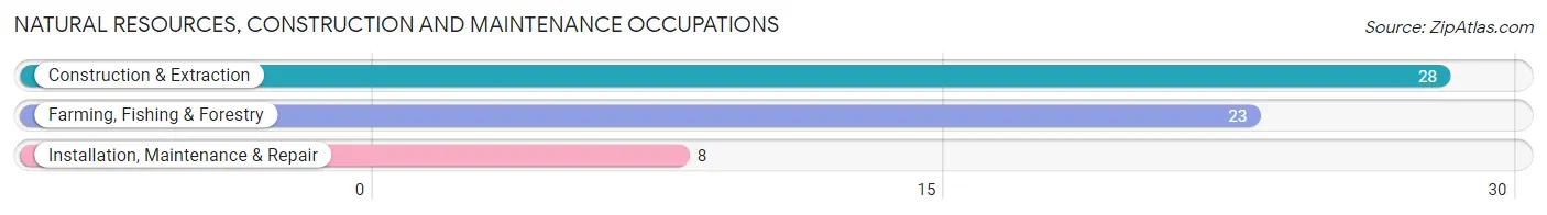 Natural Resources, Construction and Maintenance Occupations in Zip Code 04631