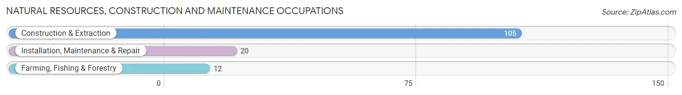 Natural Resources, Construction and Maintenance Occupations in Zip Code 04634