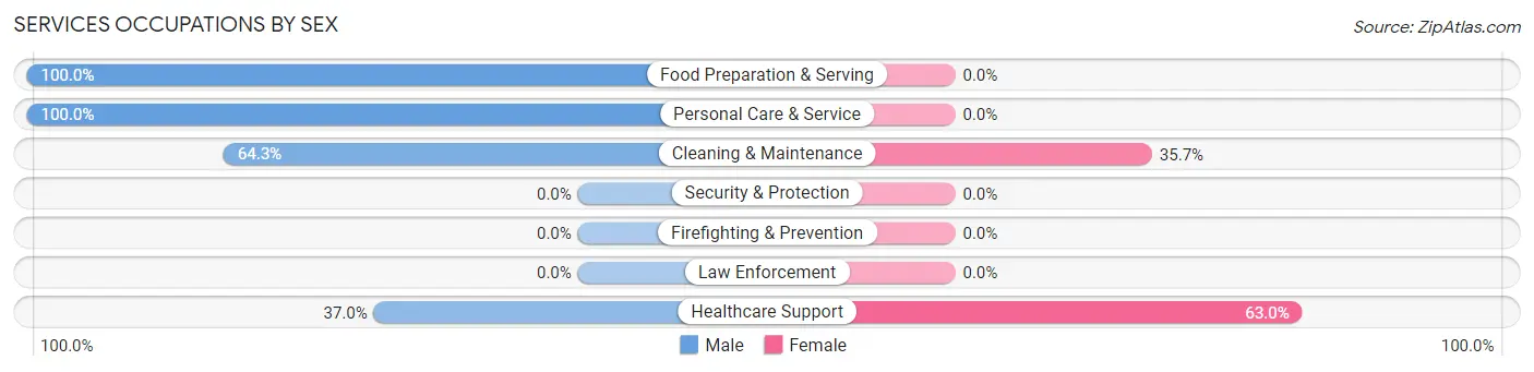 Services Occupations by Sex in Zip Code 04658
