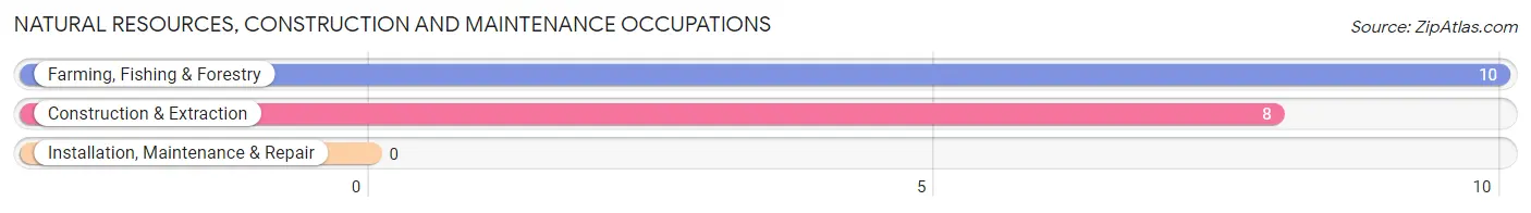 Natural Resources, Construction and Maintenance Occupations in Zip Code 04669