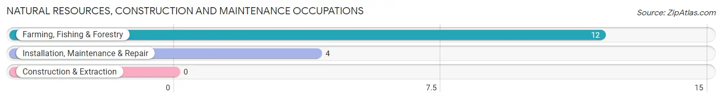 Natural Resources, Construction and Maintenance Occupations in Zip Code 04673