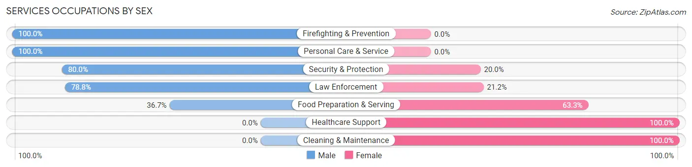 Services Occupations by Sex in Zip Code 04732