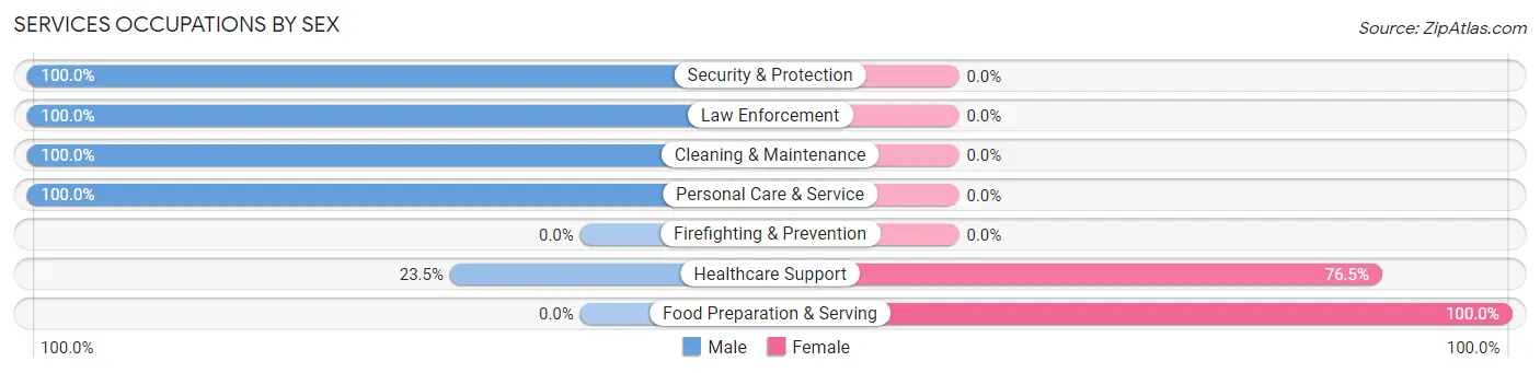Services Occupations by Sex in Zip Code 04739