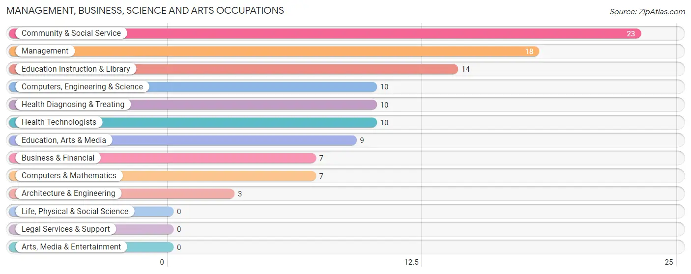 Management, Business, Science and Arts Occupations in Zip Code 04745