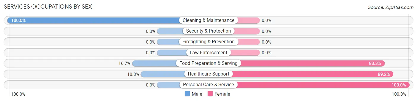 Services Occupations by Sex in Zip Code 04745