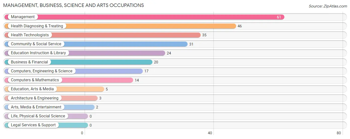 Management, Business, Science and Arts Occupations in Zip Code 04747