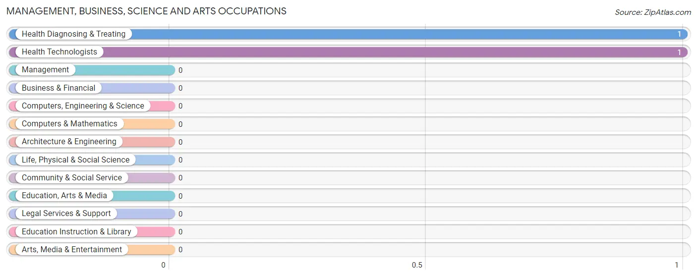 Management, Business, Science and Arts Occupations in Zip Code 04764