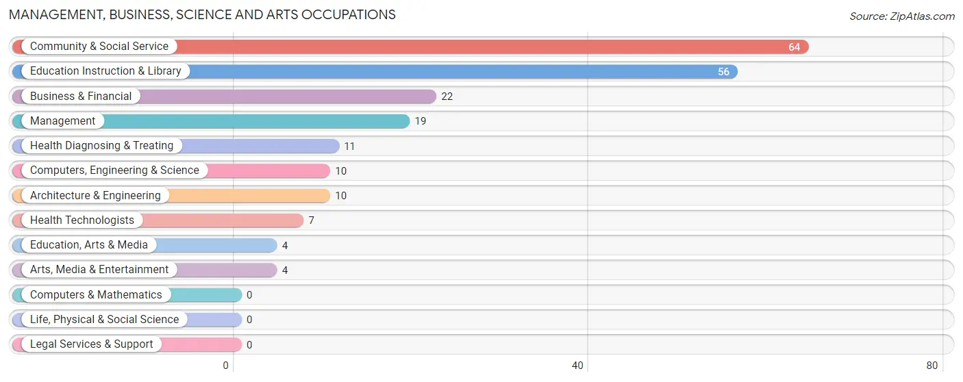 Management, Business, Science and Arts Occupations in Zip Code 04765