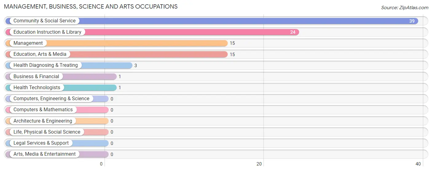 Management, Business, Science and Arts Occupations in Zip Code 04780