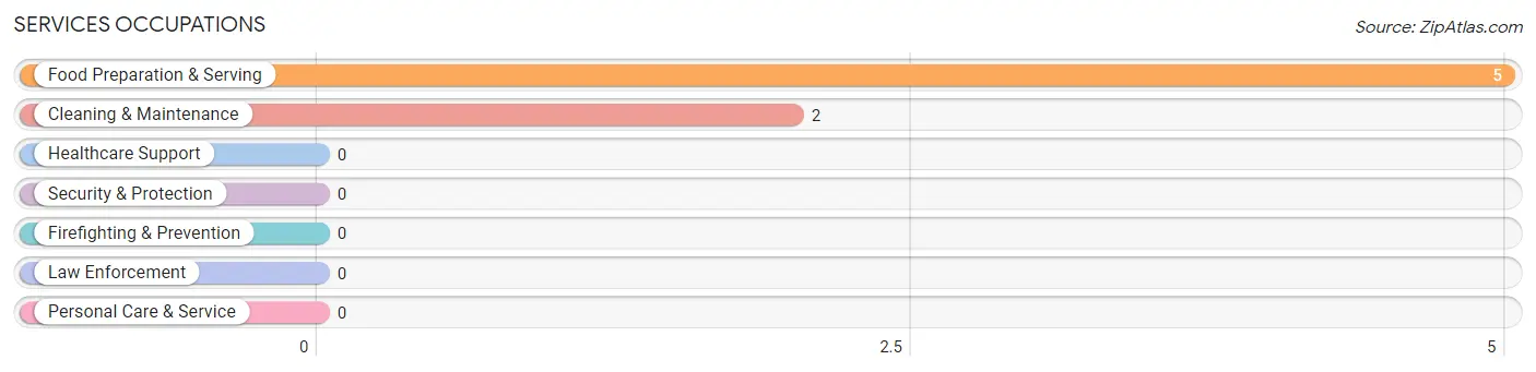 Services Occupations in Zip Code 04787