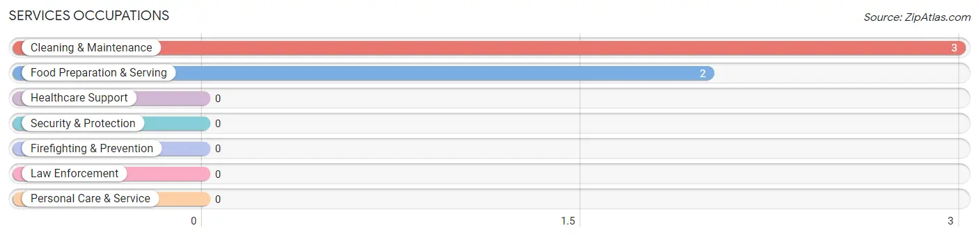 Services Occupations in Zip Code 04852