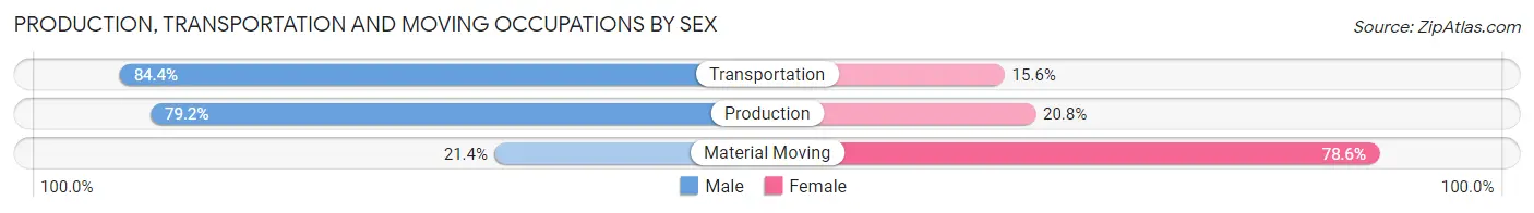 Production, Transportation and Moving Occupations by Sex in Zip Code 04858