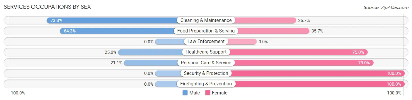Services Occupations by Sex in Zip Code 04858