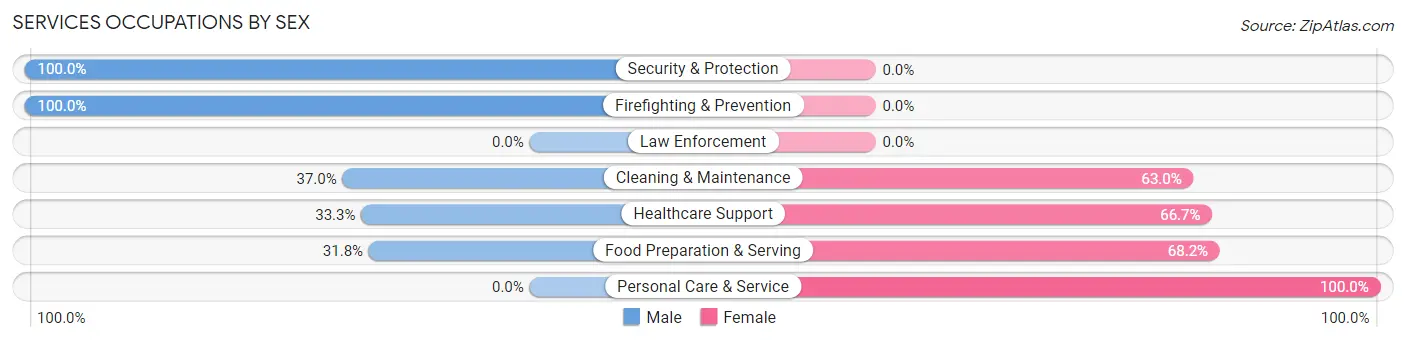 Services Occupations by Sex in Zip Code 04863