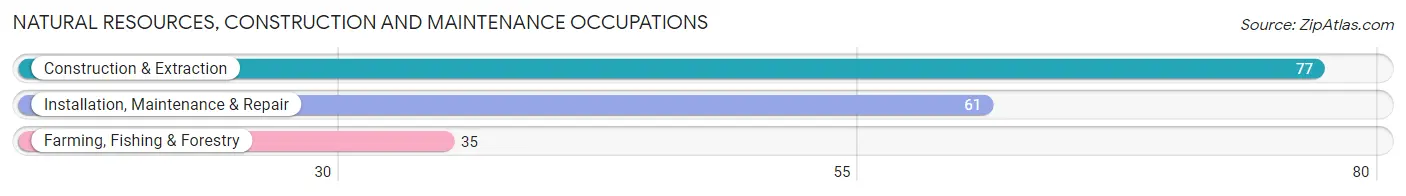 Natural Resources, Construction and Maintenance Occupations in Zip Code 04920