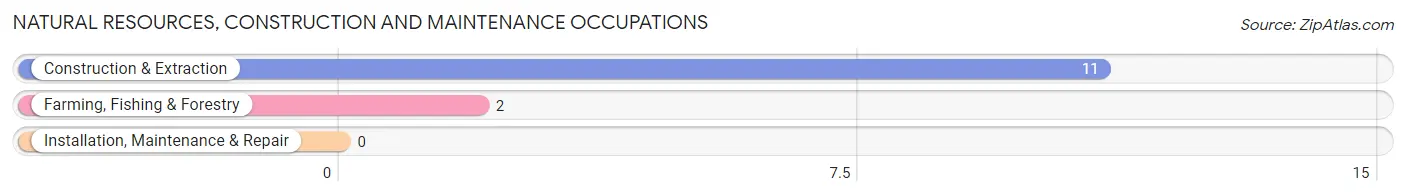 Natural Resources, Construction and Maintenance Occupations in Zip Code 04922