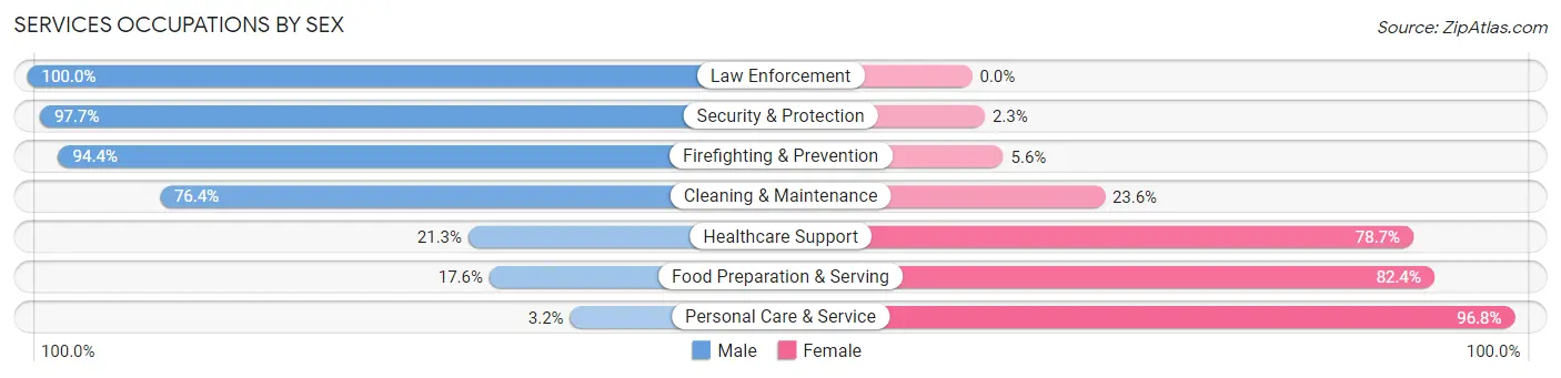 Services Occupations by Sex in Zip Code 04938
