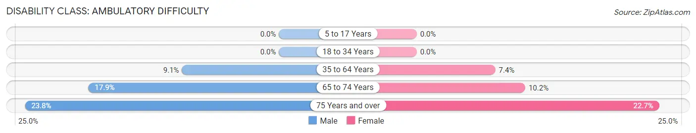 Disability in Zip Code 04941: <span>Ambulatory Difficulty</span>