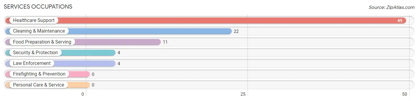 Services Occupations in Zip Code 04951