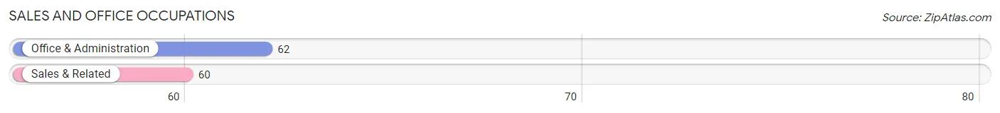 Sales and Office Occupations in Zip Code 04966