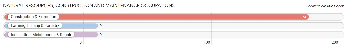 Natural Resources, Construction and Maintenance Occupations in Zip Code 04967