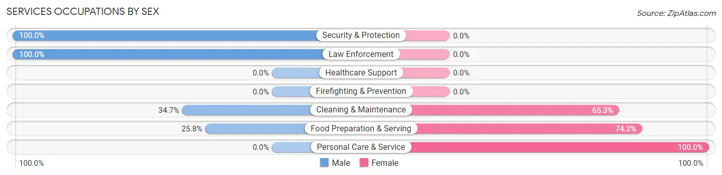 Services Occupations by Sex in Zip Code 04970