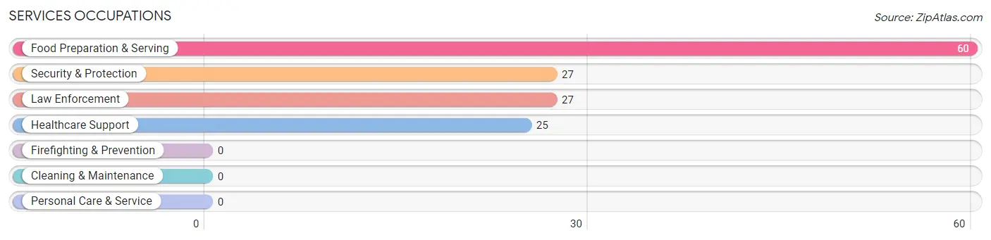 Services Occupations in Zip Code 04974