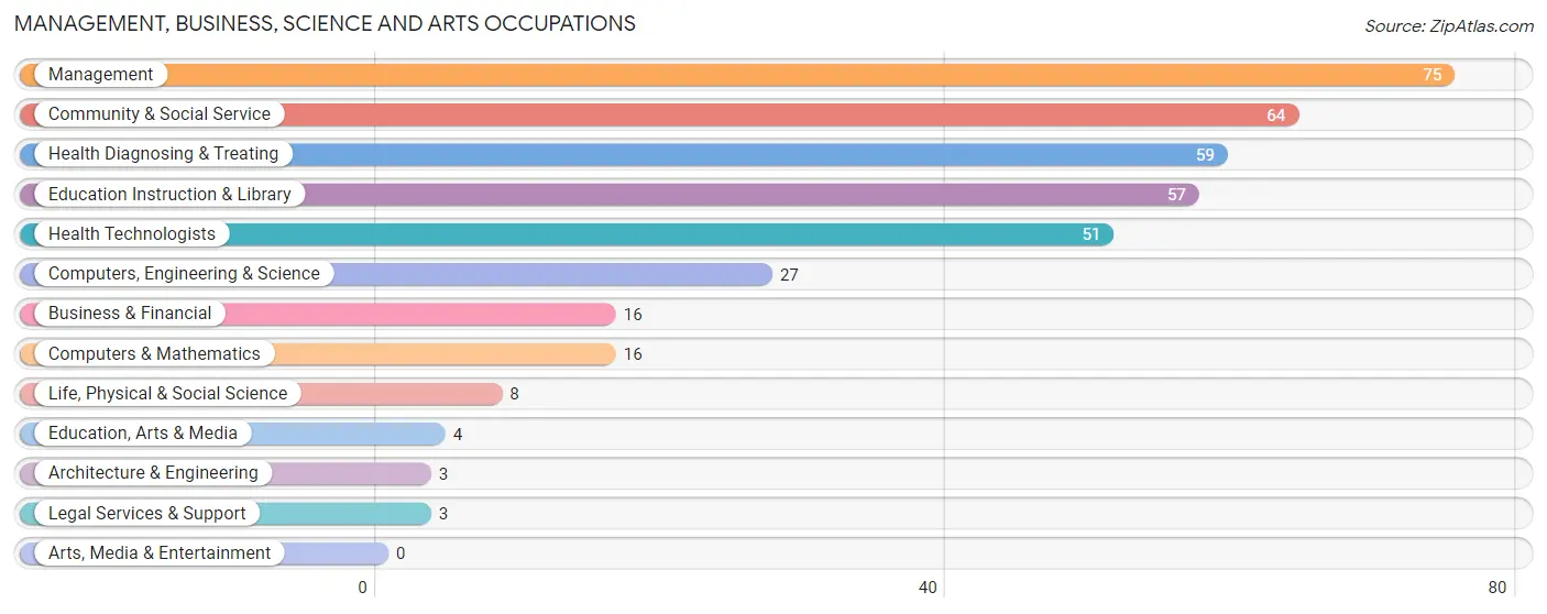 Management, Business, Science and Arts Occupations in Zip Code 05065