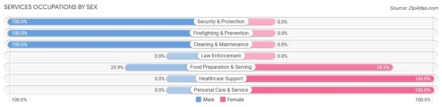Services Occupations by Sex in Zip Code 05075