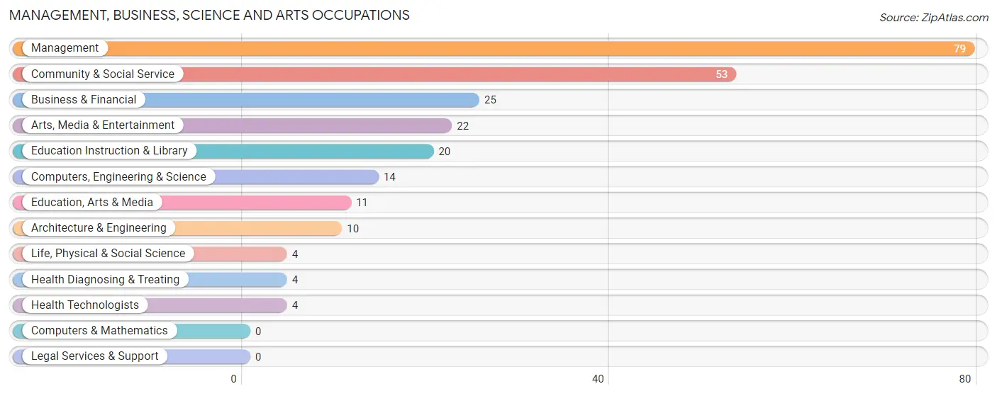 Management, Business, Science and Arts Occupations in Zip Code 05356