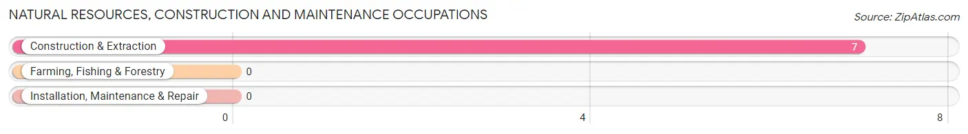 Natural Resources, Construction and Maintenance Occupations in Zip Code 05405